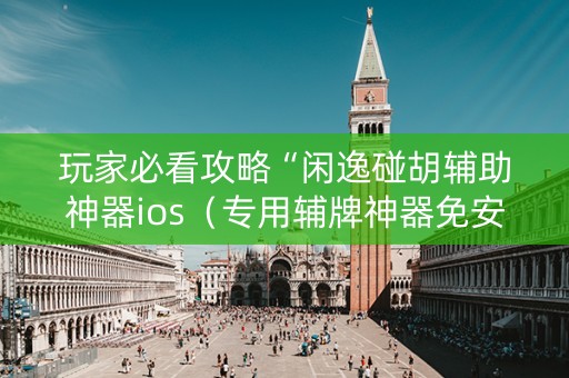 玩家必看攻略“闲逸碰胡辅助神器ios（专用辅牌神器免安装）