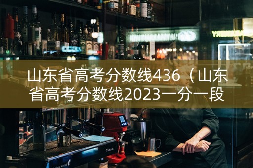 山东省高考分数线436（山东省高考分数线2023一分一段表）