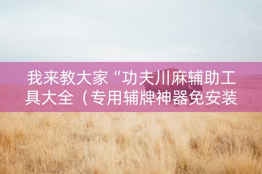 我来教大家“功夫川麻辅助工具大全（专用辅牌神器免安装）