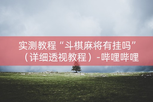实测教程“斗棋麻将有挂吗”（详细透视教程）-哔哩哔哩