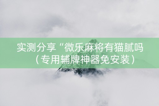 实测分享“微乐麻将有猫腻吗（专用辅牌神器免安装）