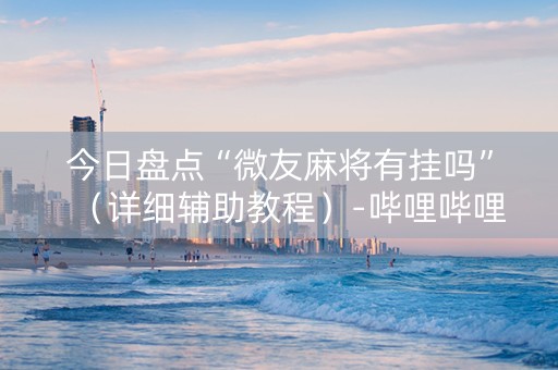 今日盘点“微友麻将有挂吗”（详细辅助教程）-哔哩哔哩