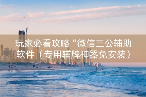 玩家必看攻略“微信三公辅助软件（专用辅牌神器免安装）