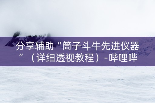 分享辅助“筒子斗牛先进仪器”（详细透视教程）-哔哩哔哩