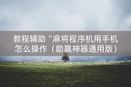 教程辅助“麻将程序机用手机怎么操作（助赢神器通用版）