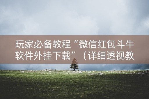 玩家必备教程“微信红包斗牛软件外挂下载”（详细透视教程）-哔哩哔哩