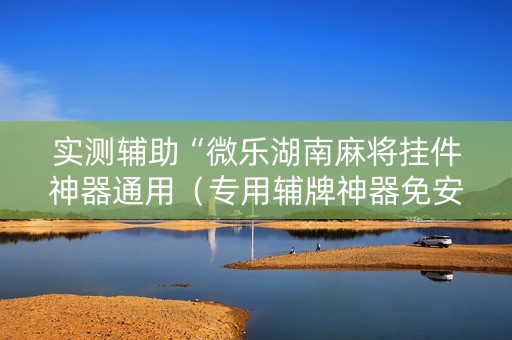 实测辅助“微乐湖南麻将挂件神器通用（专用辅牌神器免安装）