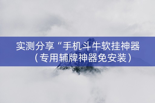 实测分享“手机斗牛软挂神器（专用辅牌神器免安装）