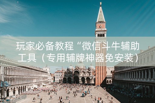 玩家必备教程“微信斗牛辅助工具（专用辅牌神器免安装）