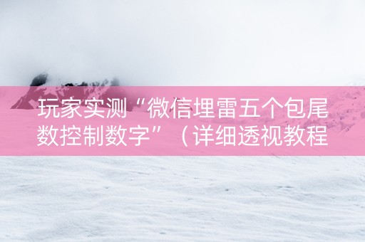 玩家实测“微信埋雷五个包尾数控制数字”（详细透视教程）-哔哩哔哩