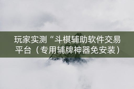 玩家实测“斗棋辅助软件交易平台（专用辅牌神器免安装）