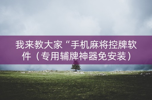 我来教大家“手机麻将控牌软件（专用辅牌神器免安装）
