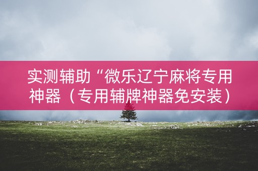 实测辅助“微乐辽宁麻将专用神器（专用辅牌神器免安装）