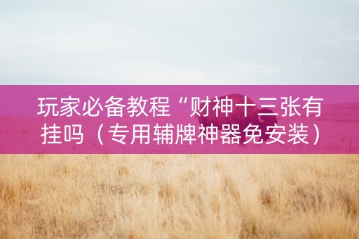 玩家必备教程“财神十三张有挂吗（专用辅牌神器免安装）