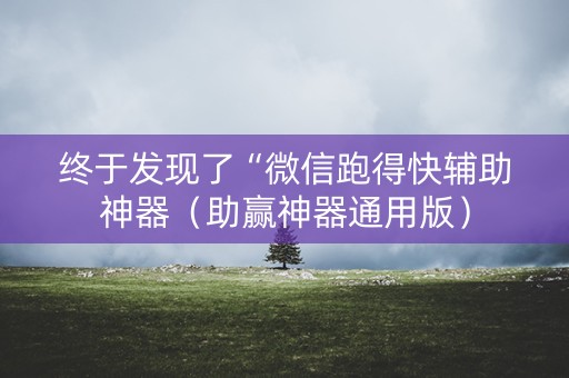 终于发现了“微信跑得快辅助神器（助赢神器通用版）