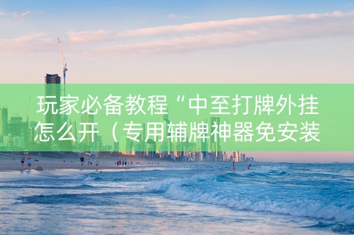 玩家必备教程“中至打牌外挂怎么开（专用辅牌神器免安装）