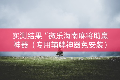 实测结果“微乐海南麻将助赢神器（专用辅牌神器免安装）