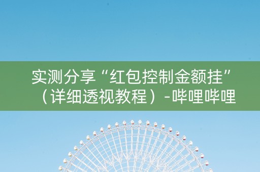 实测分享“红包控制金额挂”（详细透视教程）-哔哩哔哩