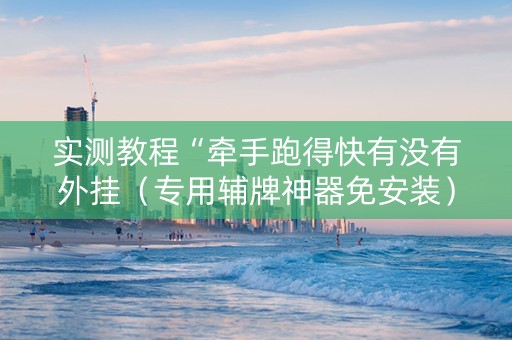 实测教程“牵手跑得快有没有外挂（专用辅牌神器免安装）
