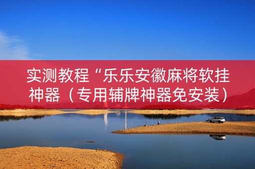实测教程“乐乐安徽麻将软挂神器（专用辅牌神器免安装）