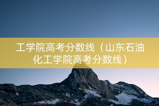 工学院高考分数线（山东石油化工学院高考分数线）