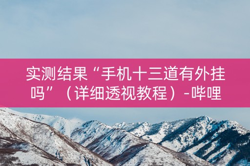 实测结果“手机十三道有外挂吗”（详细透视教程）-哔哩哔哩