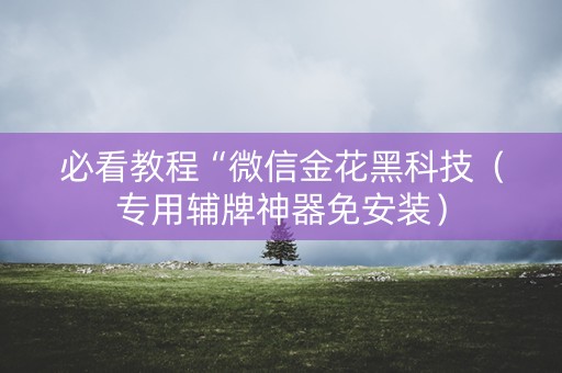 必看教程“微信金花黑科技（专用辅牌神器免安装）