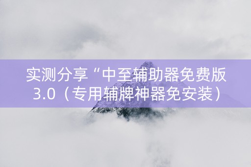 实测分享“中至辅助器免费版3.0（专用辅牌神器免安装）