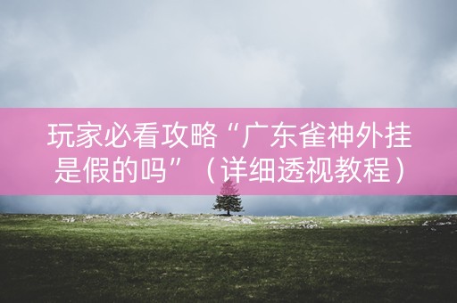 玩家必看攻略“广东雀神外挂是假的吗”（详细透视教程）-哔哩哔哩