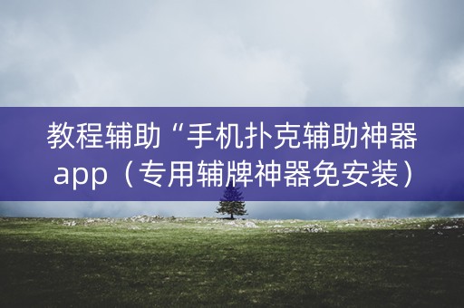 教程辅助“手机扑克辅助神器app（专用辅牌神器免安装）