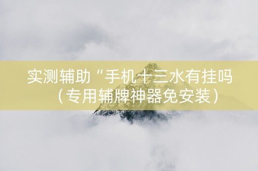 实测辅助“手机十三水有挂吗（专用辅牌神器免安装）