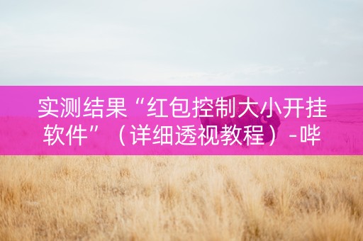 实测结果“红包控制大小开挂软件”（详细透视教程）-哔哩哔哩