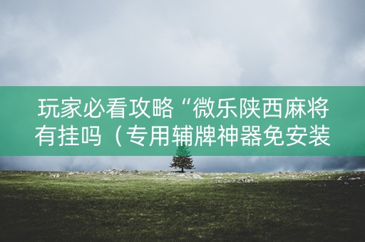 玩家必看攻略“微乐陕西麻将有挂吗（专用辅牌神器免安装）