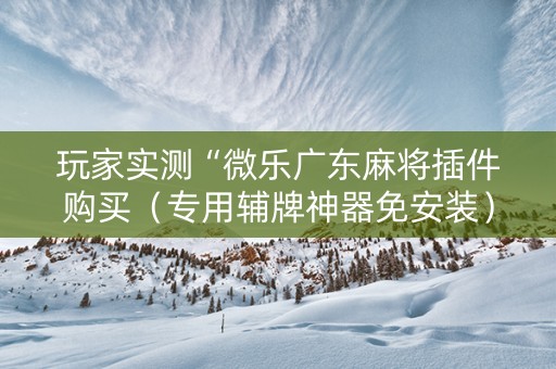玩家实测“微乐广东麻将插件购买（专用辅牌神器免安装）