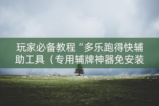 玩家必备教程“多乐跑得快辅助工具（专用辅牌神器免安装）
