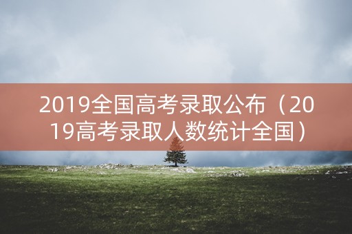 2019全国高考录取公布（2019高考录取人数统计全国）