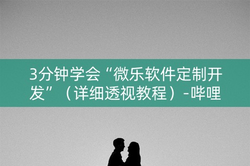 3分钟学会“微乐软件定制开发”（详细透视教程）-哔哩哔哩