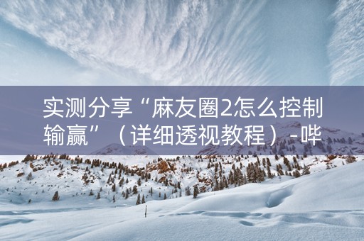 实测分享“麻友圈2怎么控制输赢”（详细透视教程）-哔哩哔哩