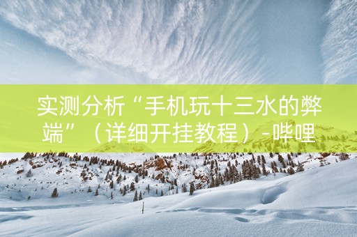 实测分析“手机玩十三水的弊端”（详细开挂教程）-哔哩哔哩