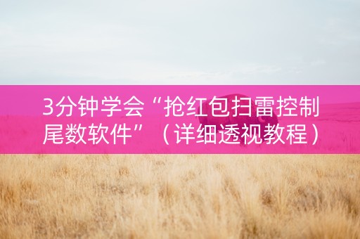 3分钟学会“抢红包扫雷控制尾数软件”（详细透视教程）-哔哩哔哩