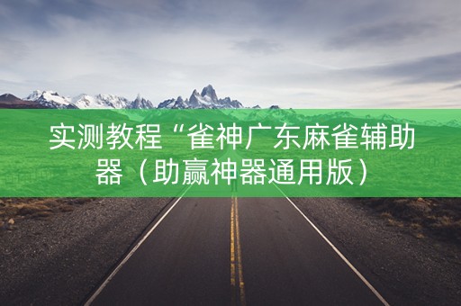 实测教程“雀神广东麻雀辅助器（助赢神器通用版）