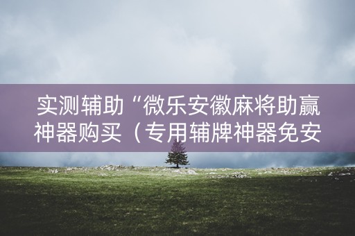 实测辅助“微乐安徽麻将助赢神器购买（专用辅牌神器免安装）