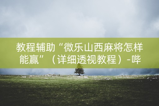 教程辅助“微乐山西麻将怎样能赢”（详细透视教程）-哔哩哔哩