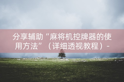 分享辅助“麻将机控牌器的使用方法”（详细透视教程）-哔哩哔哩