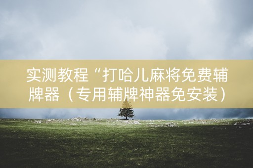 实测教程“打哈儿麻将免费辅牌器（专用辅牌神器免安装）