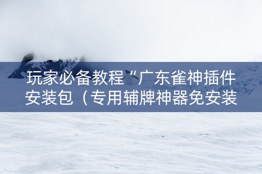 玩家必备教程“广东雀神插件安装包（专用辅牌神器免安装）