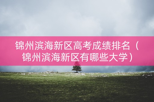 锦州滨海新区高考成绩排名（锦州滨海新区有哪些大学）