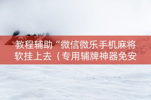 教程辅助“微信微乐手机麻将软挂上去（专用辅牌神器免安装）