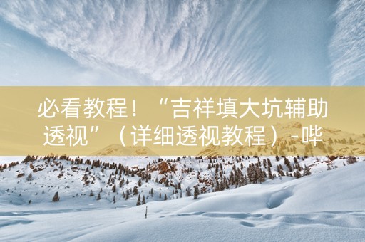 必看教程！“吉祥填大坑辅助透视”（详细透视教程）-哔哩哔哩