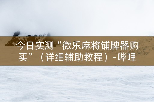 今日实测“微乐麻将铺牌器购买”（详细辅助教程）-哔哩哔哩
